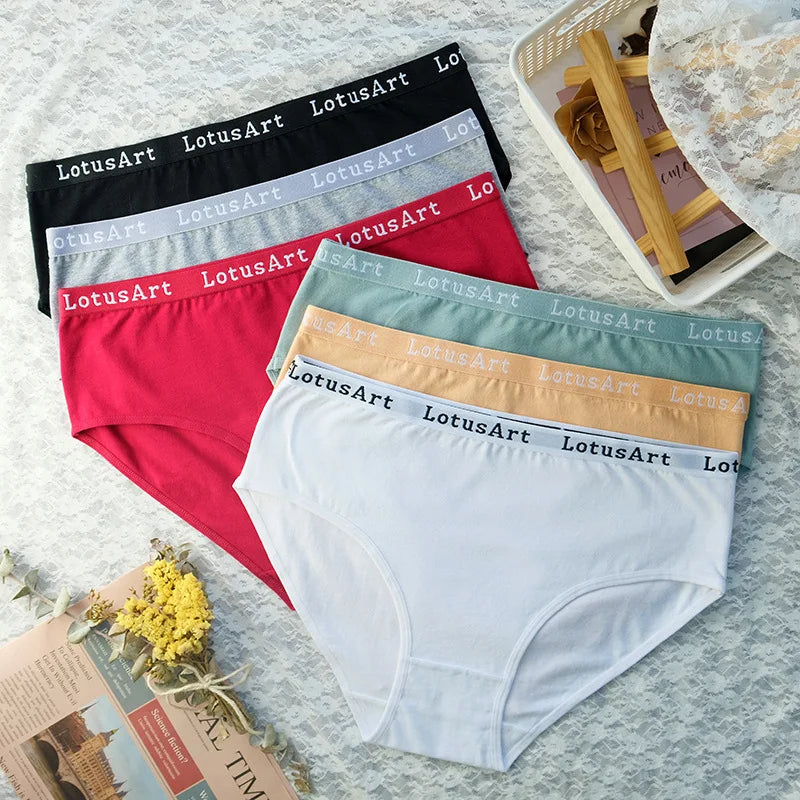 Lot de 3 Culottes Femme Sans Couture – Confort & Élégance