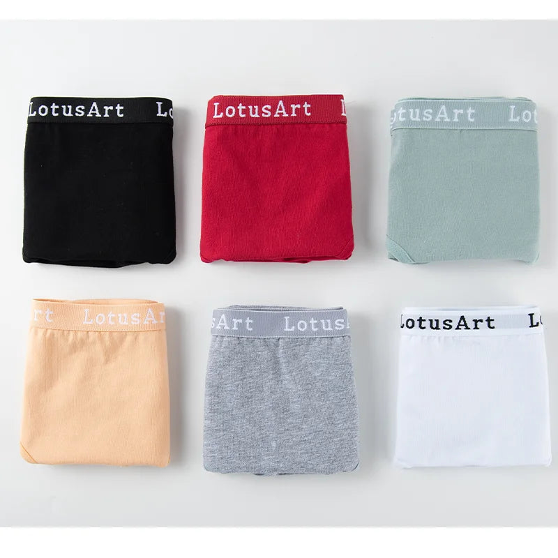 Lot de 3 Culottes Femme Sans Couture – Confort & Élégance